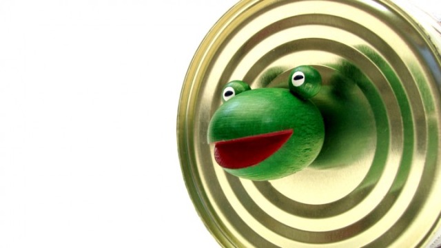 Kellner Magnetfrosch Helmut Ansicht 2