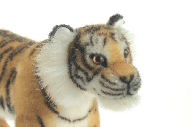 Kösen Tiger Kadan Ansicht 2