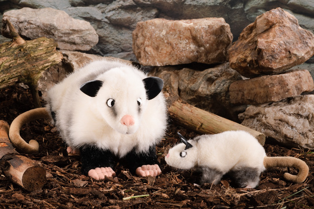 Kösen Schielendes Opossum Heidi Ansicht 2
