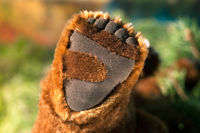 Kösen Braunbär, sitzend, limitiert Ansicht 2