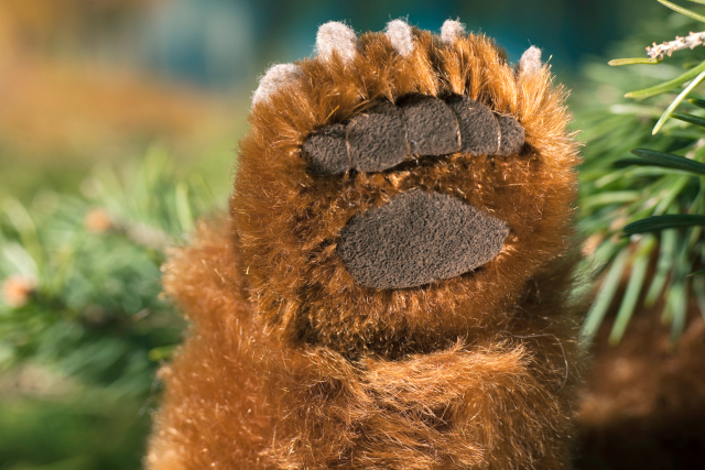 Kösen Braunbär, sitzend, limitiert Ansicht 2