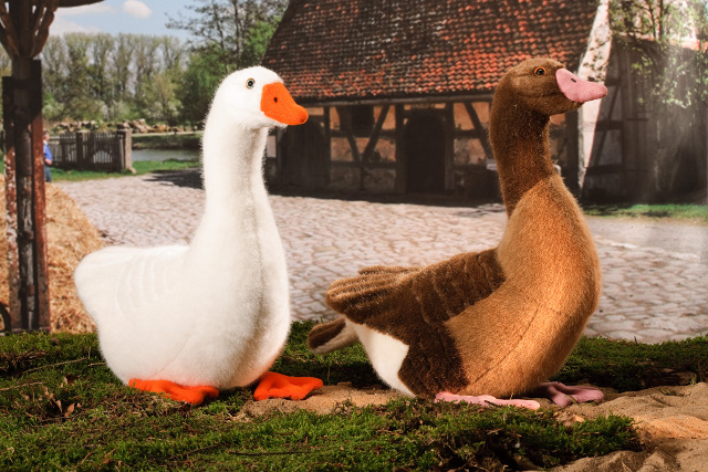 Kösen Gans, weiß Ansicht 2