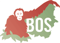 Bos Spiele Bos Spiele